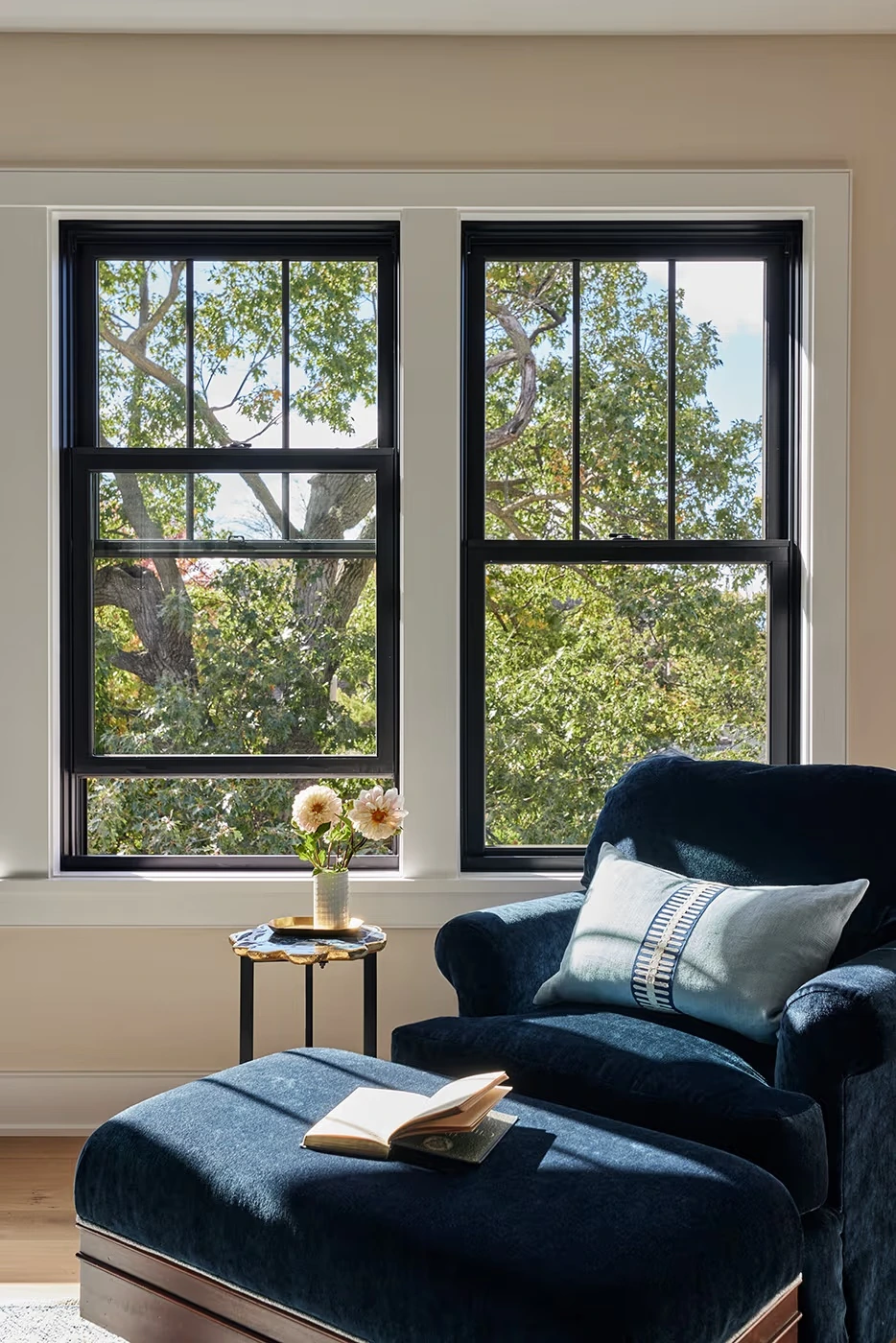 Standard Aluminum Single & Double Hung Window
