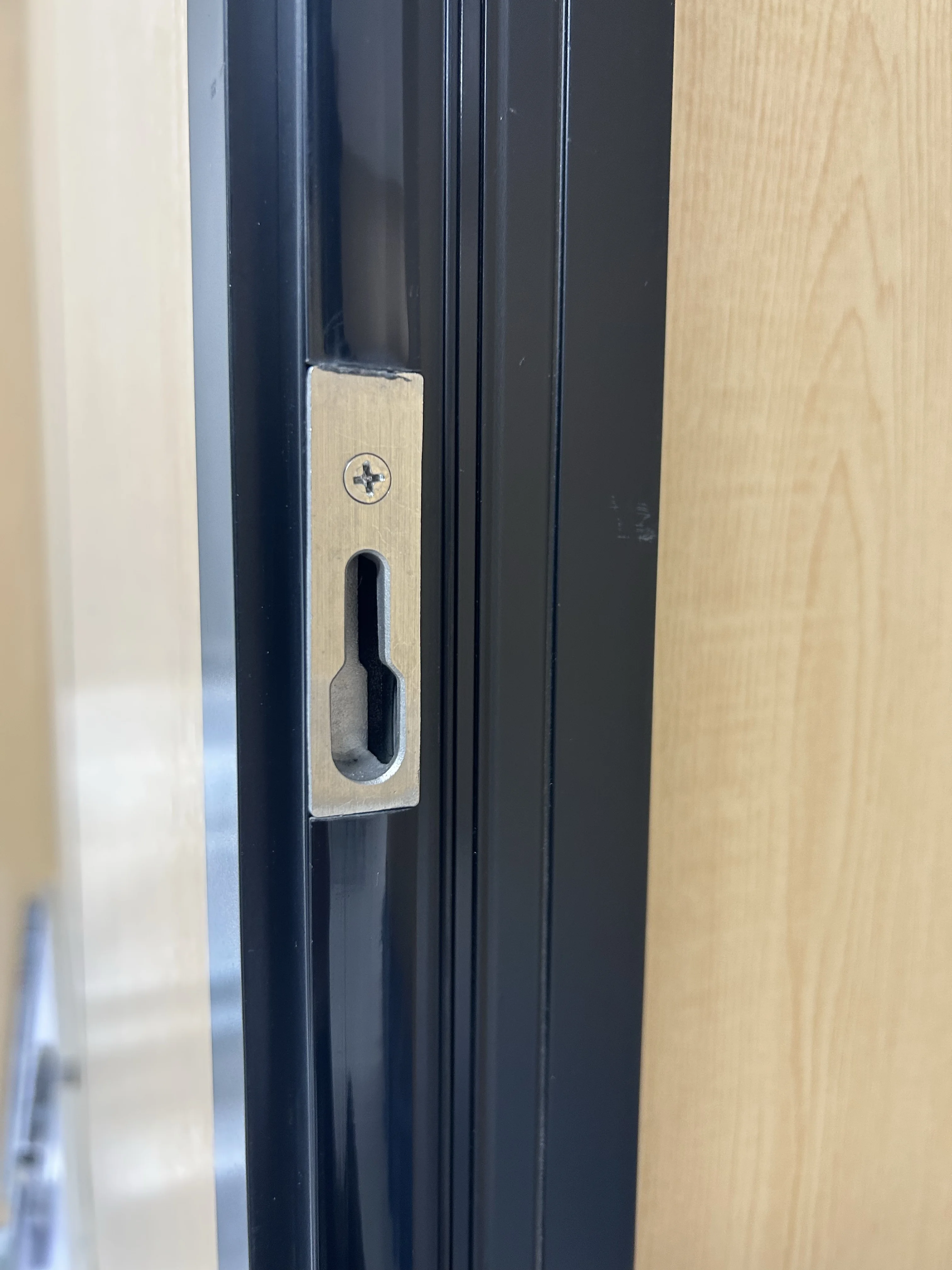 Standard Two-Track Aluminum Sliding Window